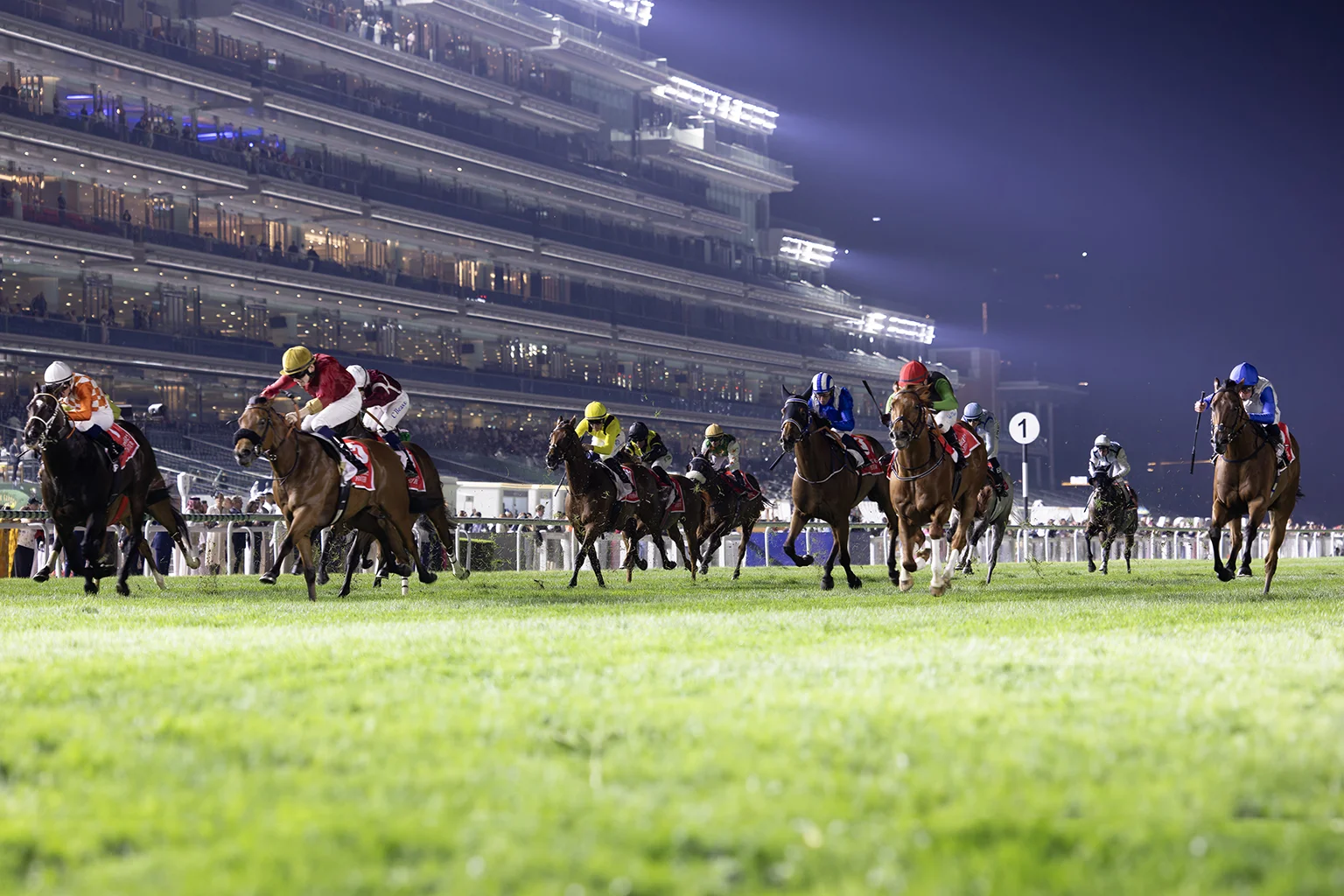 Evening horse races under stadium lights