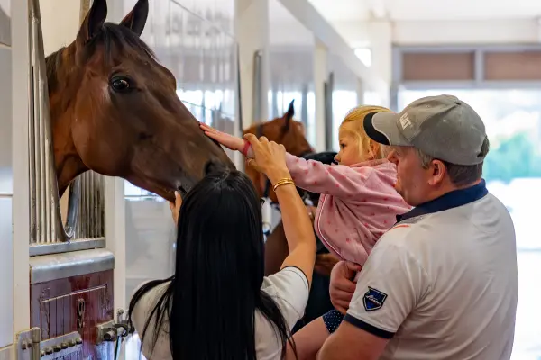 Visitors petting horse at racing stables