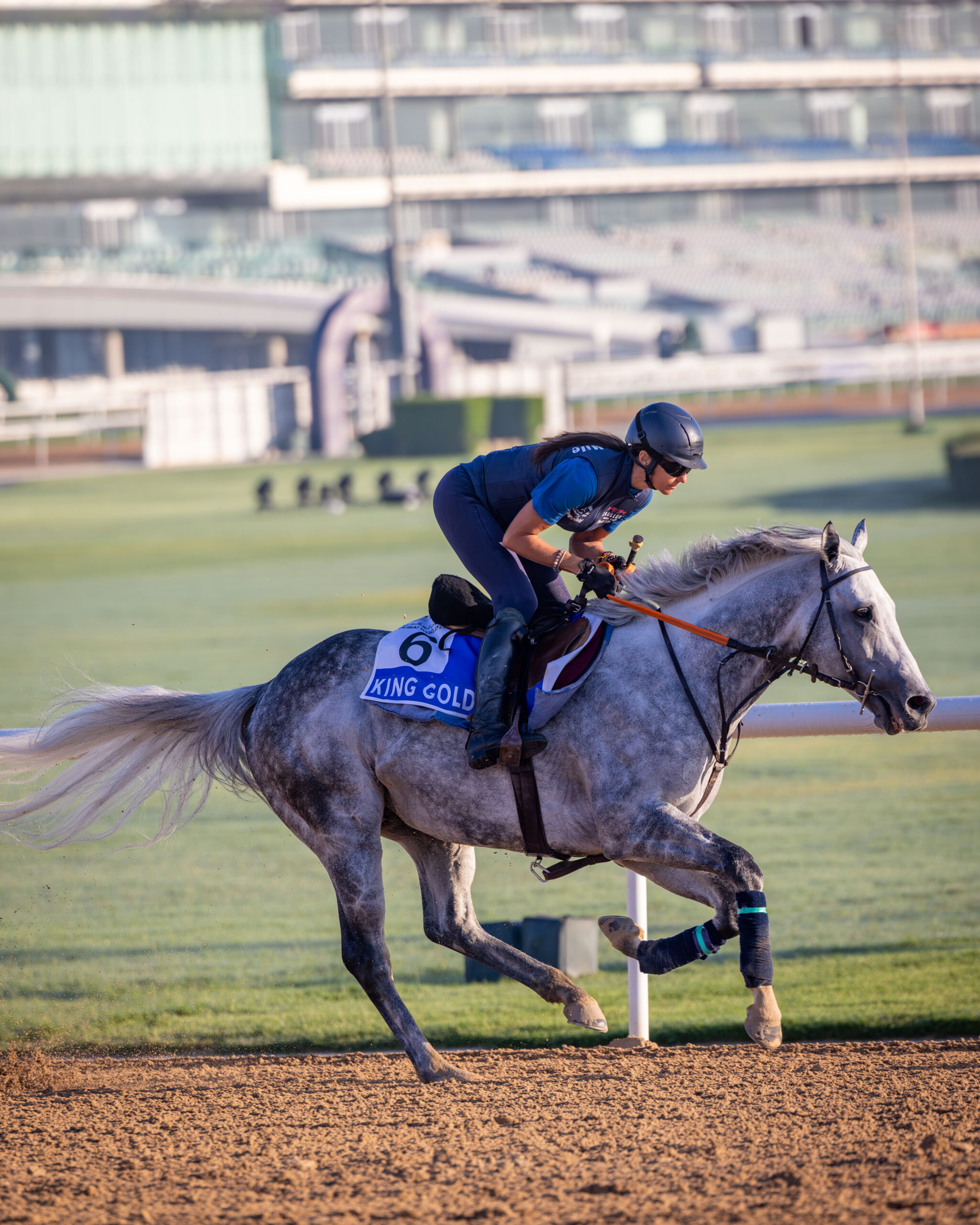 King Gold training at Meydan Racecourse