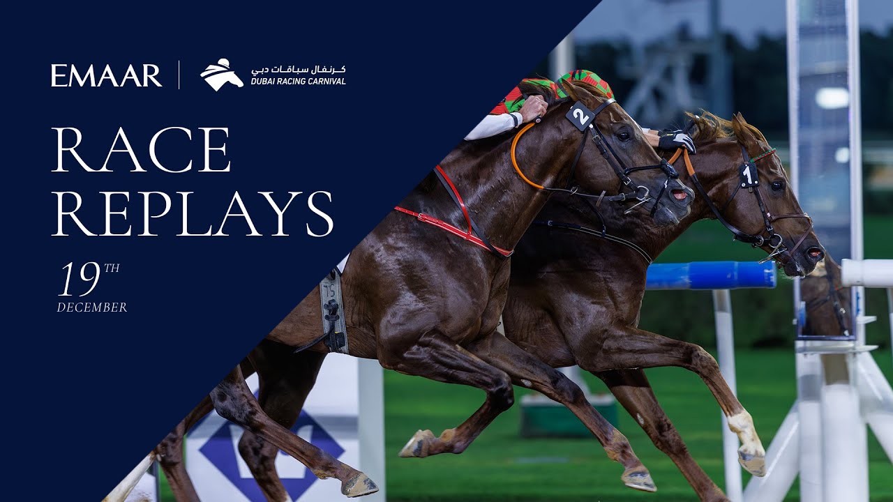 Horses racing at Dubai event