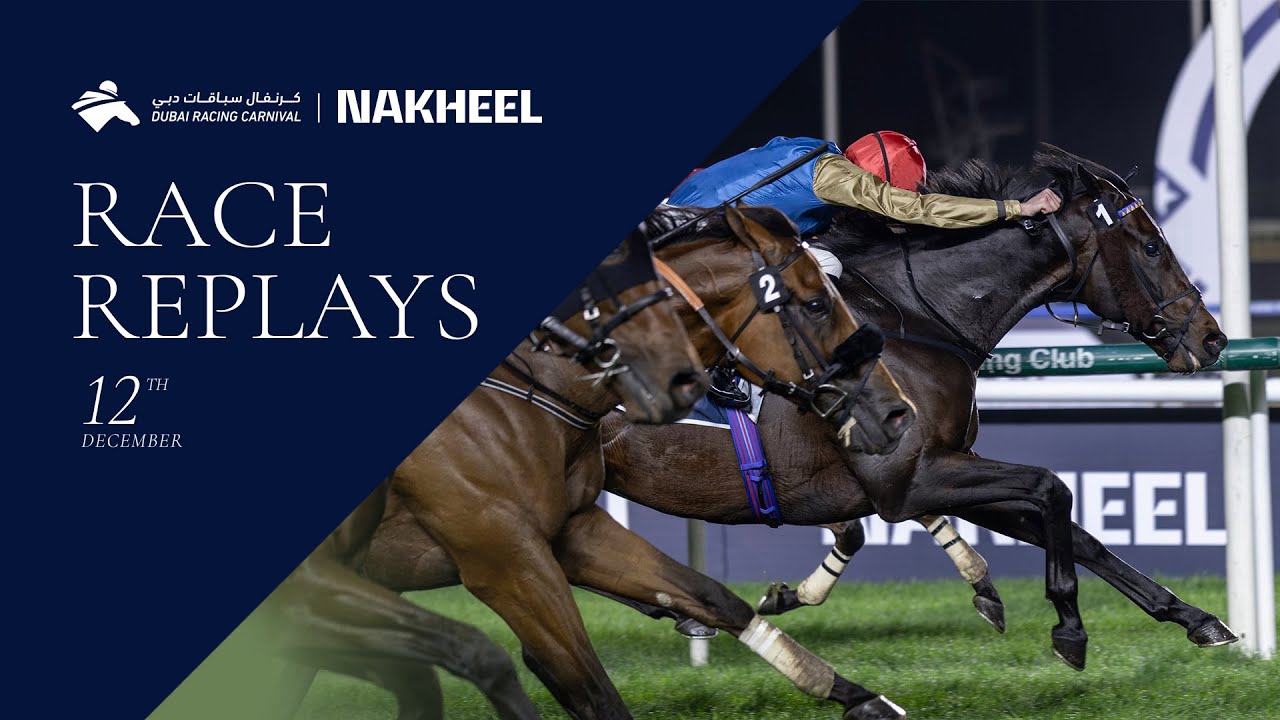 Horses racing at Dubai event