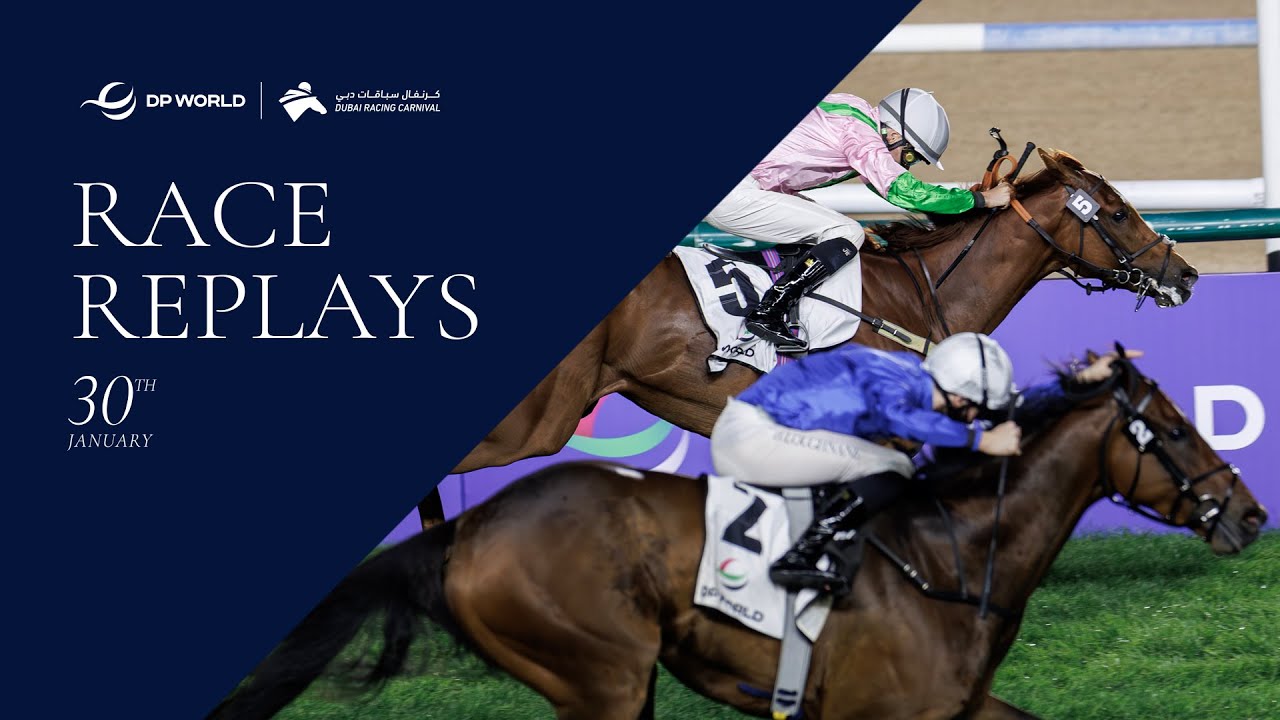 Horses racing at a competition