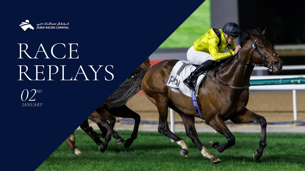 Horse racing event at night