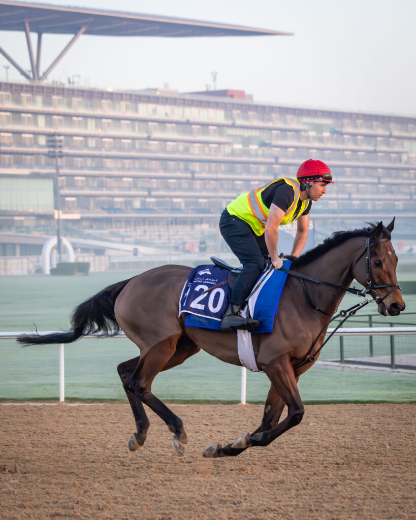Europeans Try To Loosen Appleby’s Grip On Dubai Millennium Stakes ...