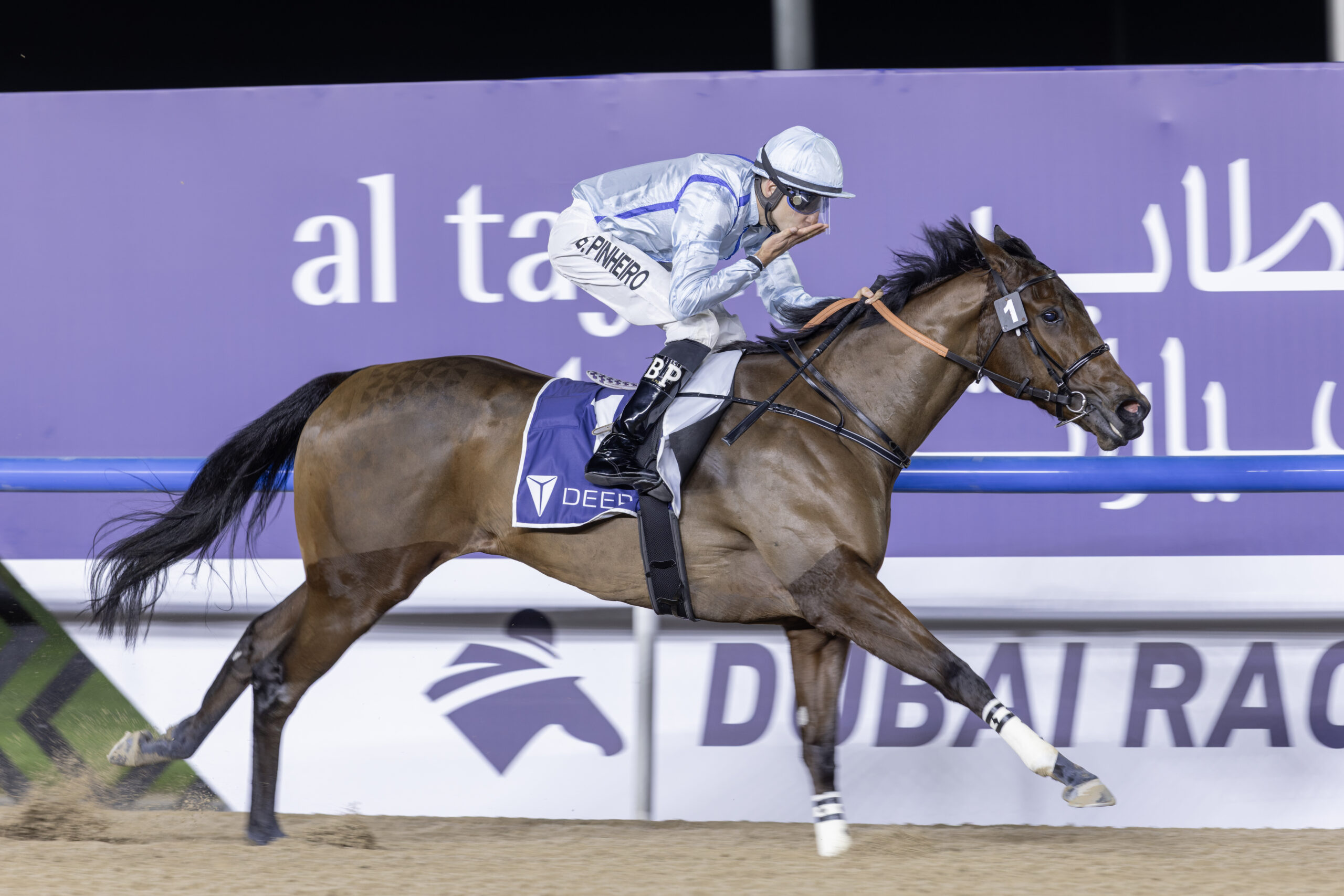 Horse racing at night event
