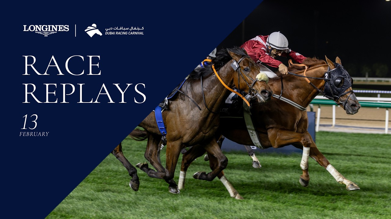 Horses racing at night event
