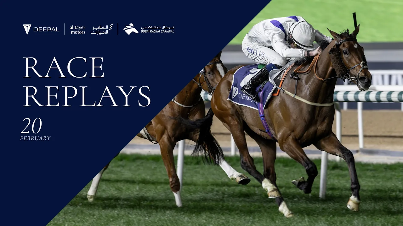 Horse racing event highlights February 20