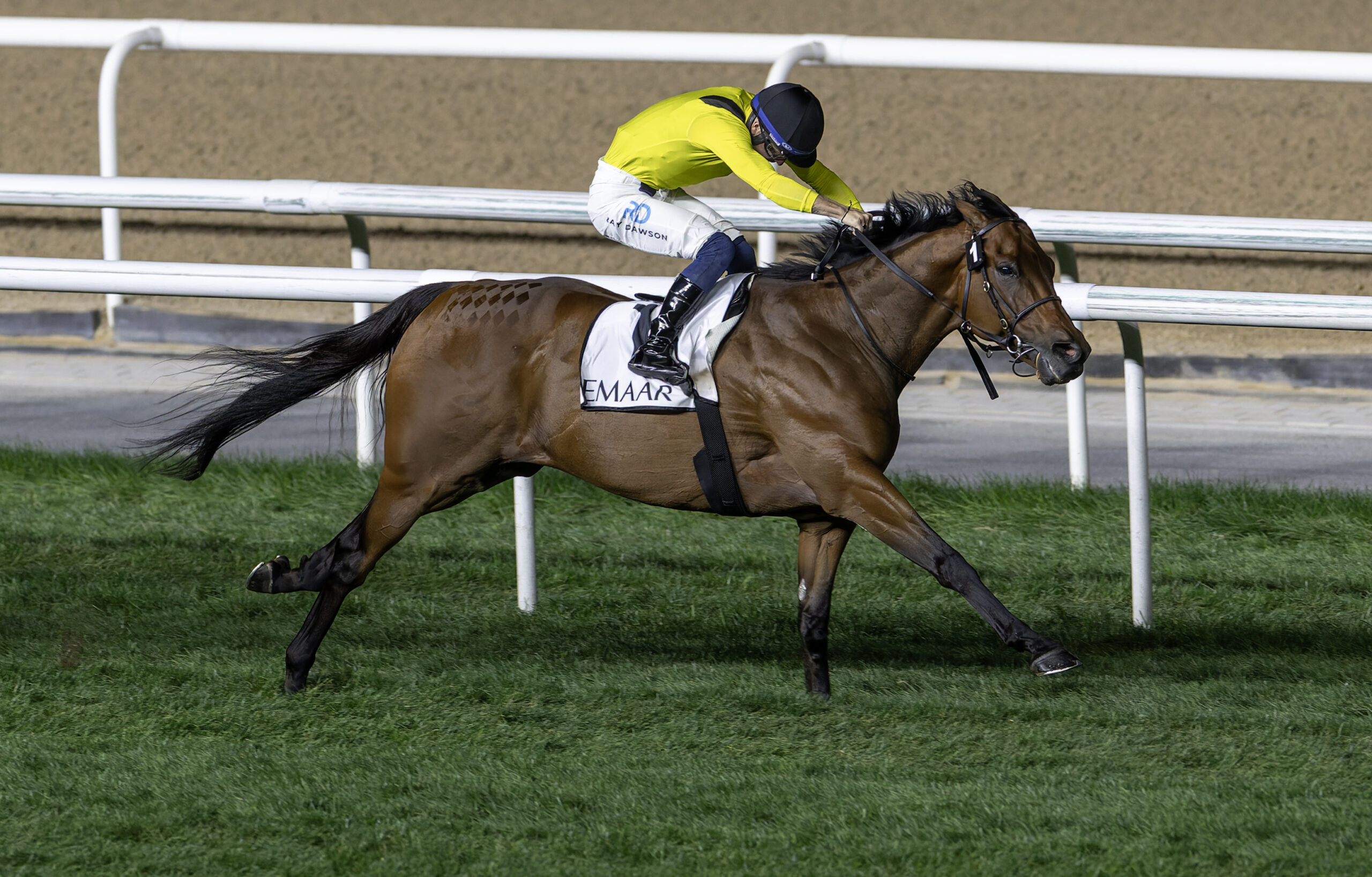 Horse racing on a track