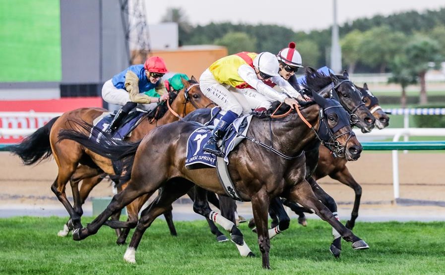 Popular win for Emirati speedster Native Approach in Al Quoz Sprint