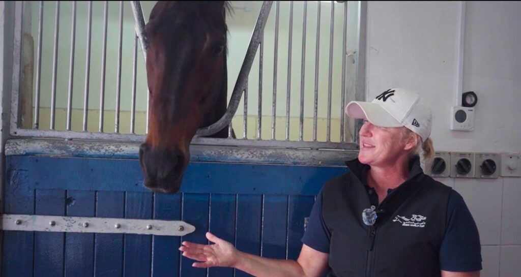 Woman interacting with a horse