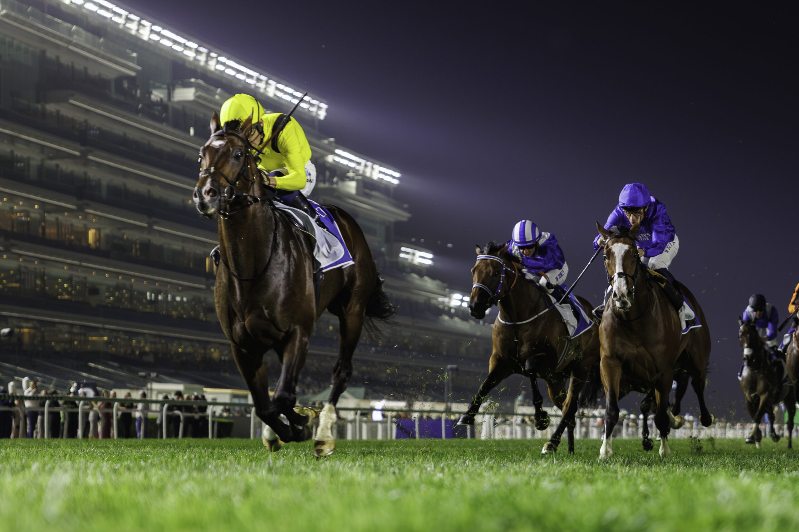 Horse race at night with spectators