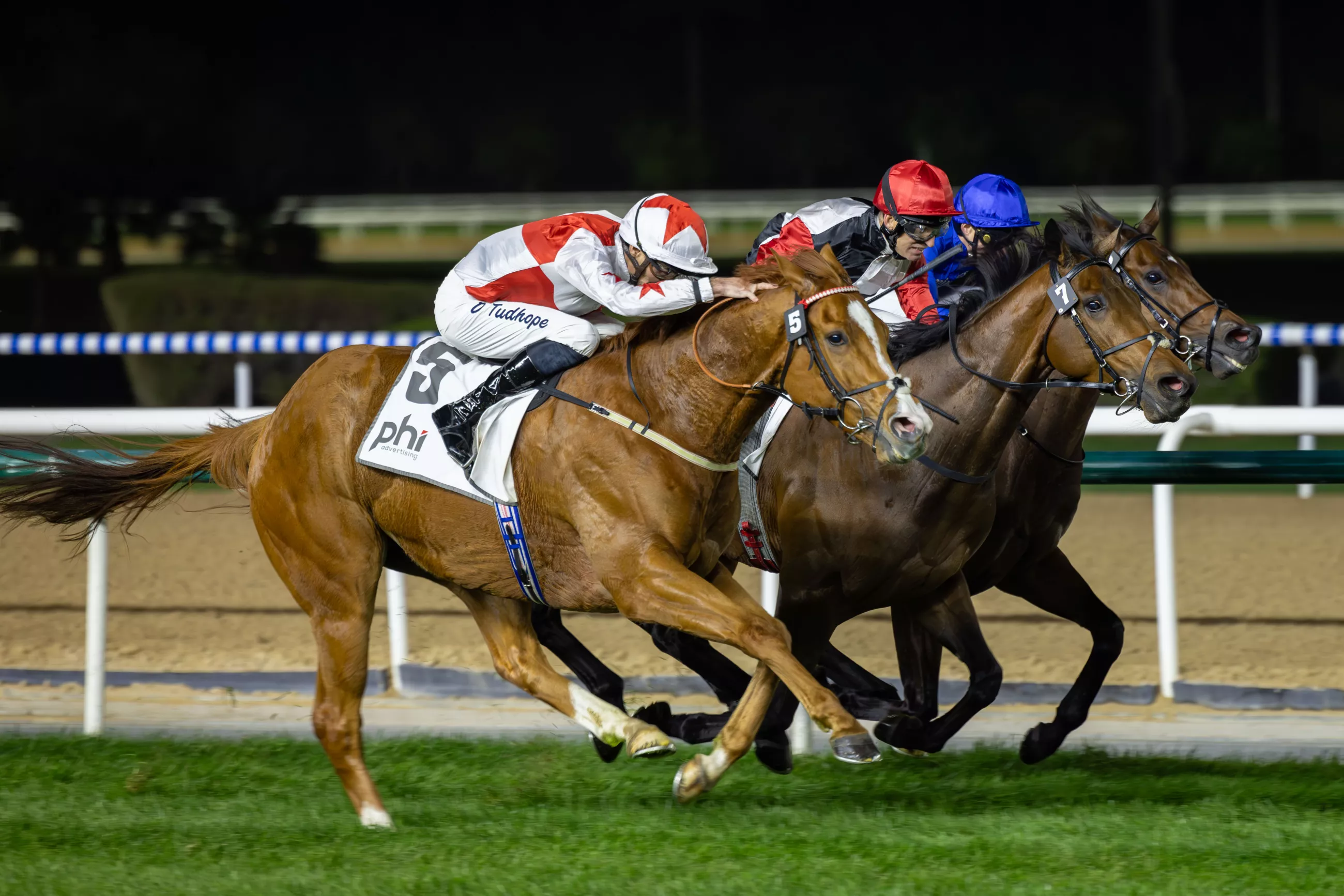 Poker Face and Tuz Shine as Meydan a New Year Dubai Racing Club