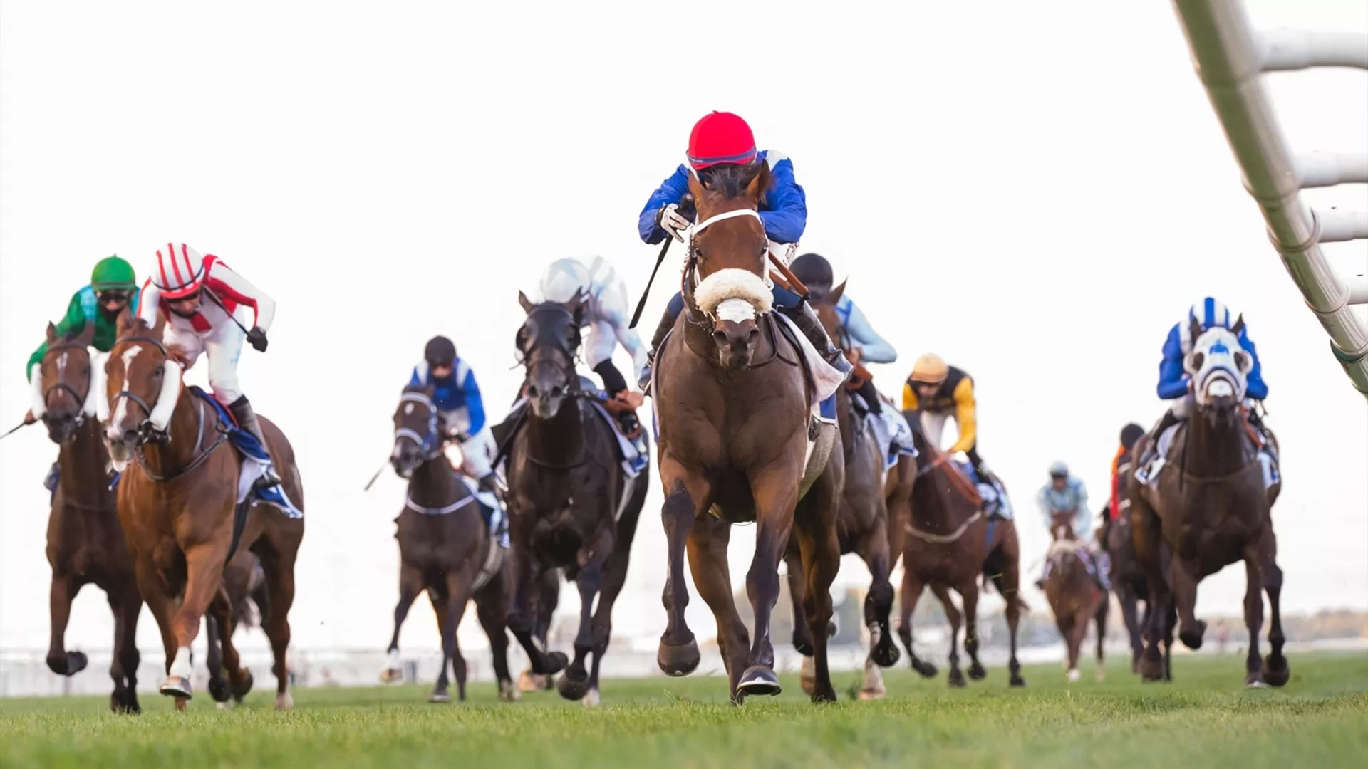 Under Directives of Mohammed bin Rashid, Dubai Racing Club announces